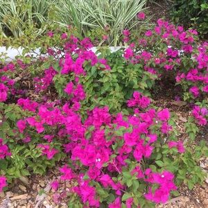 Meet your Posher, Cathy